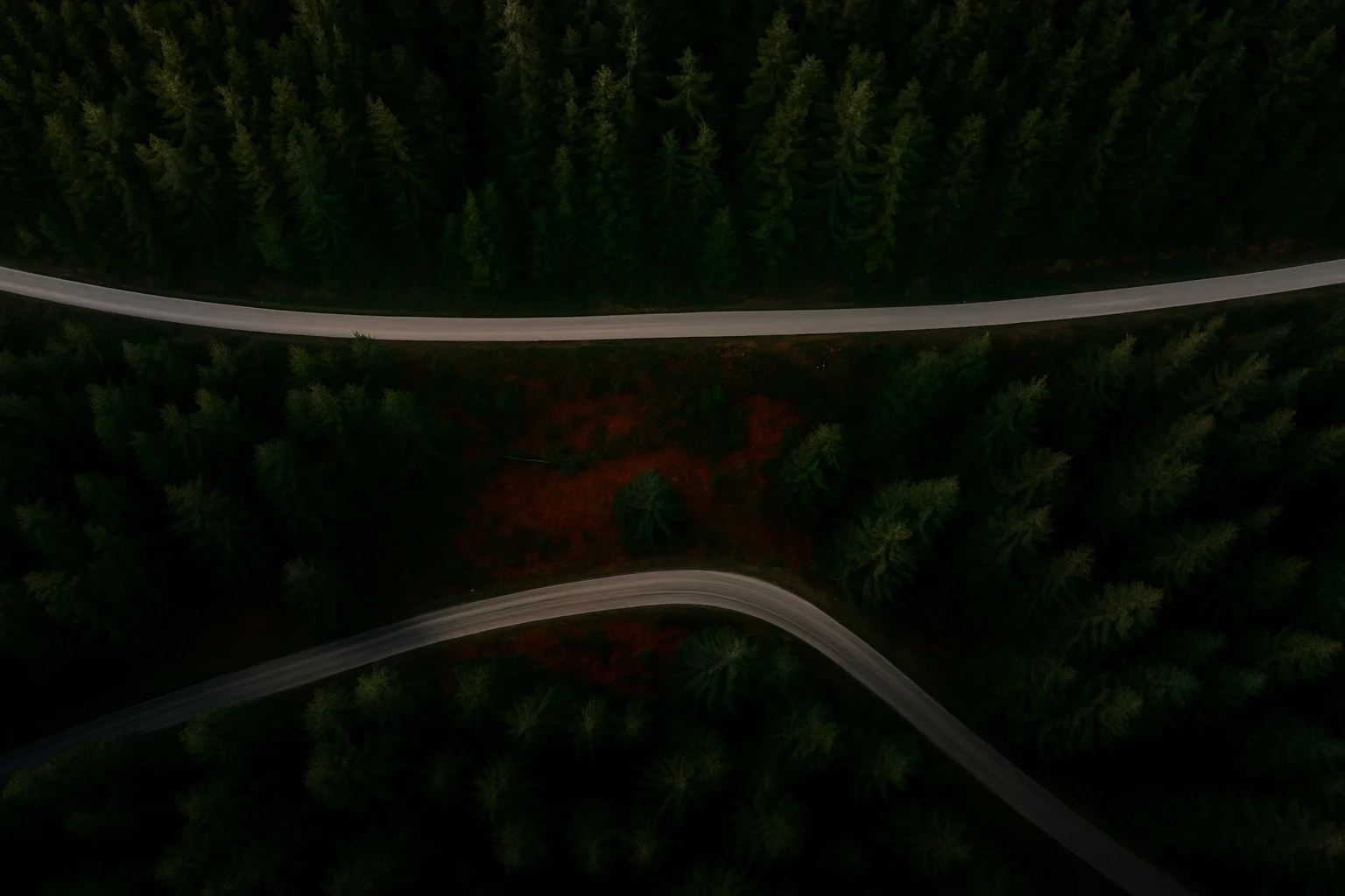 Jalan berkelok di tengah hutan lebat terlihat dari udara.