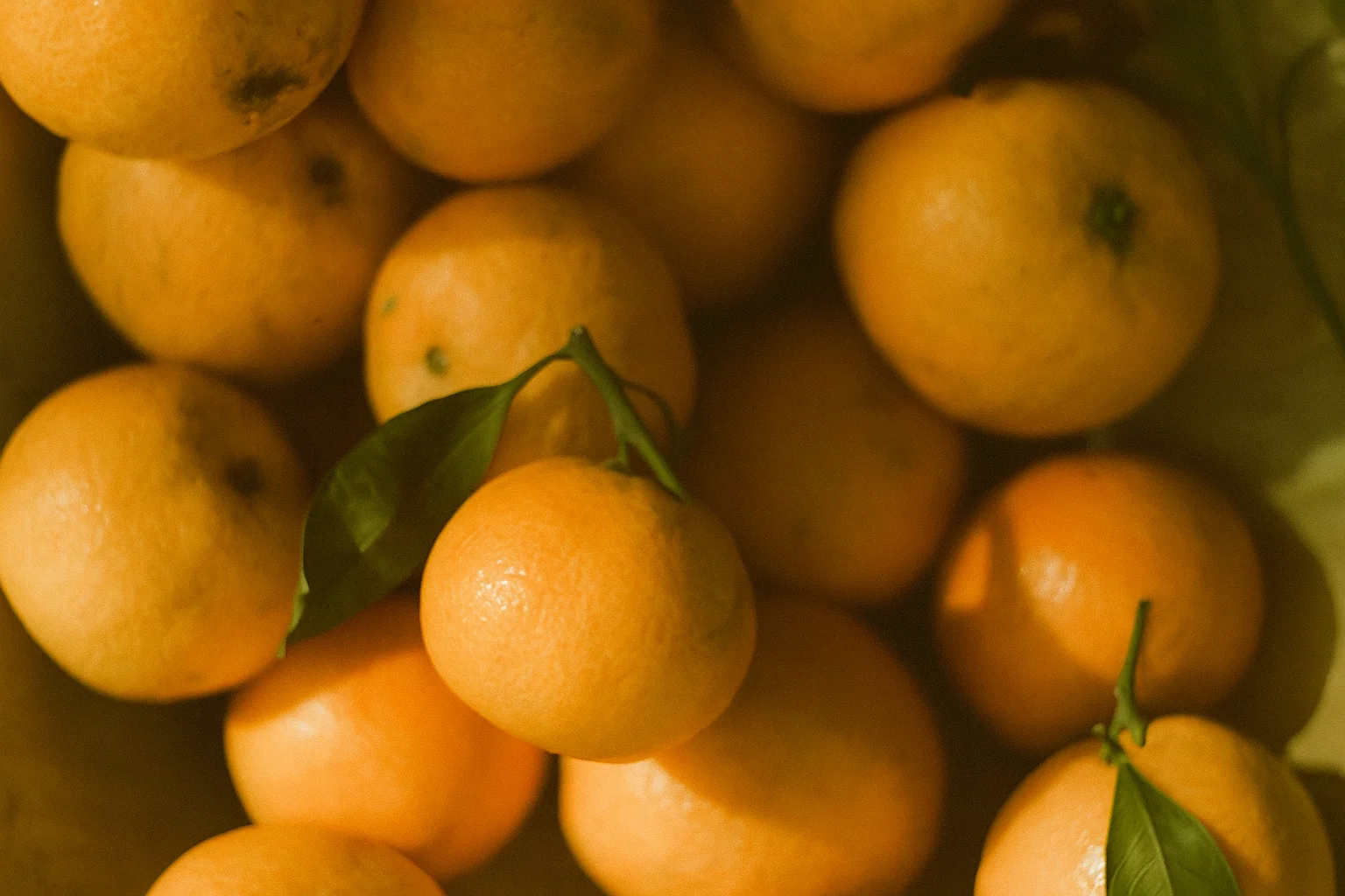 Mandarini e arance con foglie verdi alla luce naturale